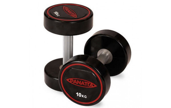 Уретановая гантель 2,5 кг Panatta 1RD025 600_380