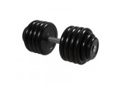 Гантель Профи с вращающейся ручкой, 48,5 кг MB Barbell MB-FdbM-B48,5